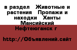  в раздел : Животные и растения » Пропажи и находки . Ханты-Мансийский,Нефтеюганск г.